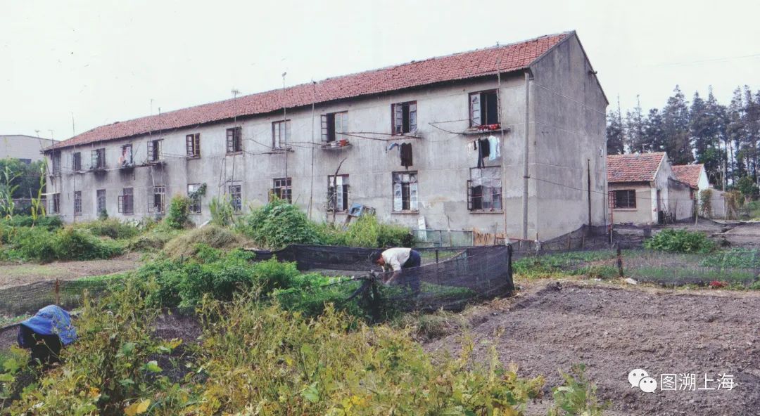 星火农场旧式住宅楼海湾镇坐拥25千米黄金海岸线,是上海市海岸线最长