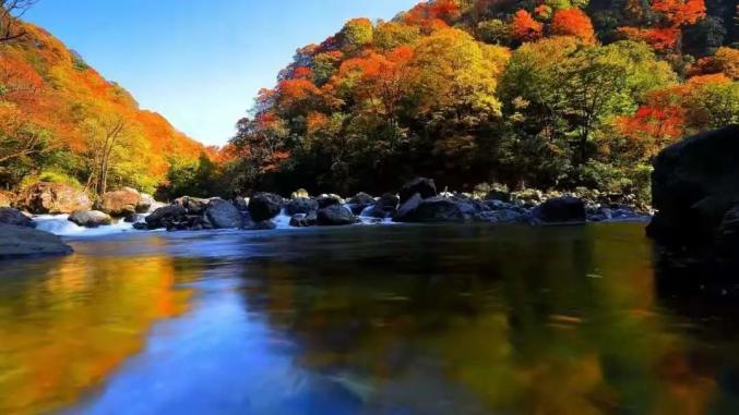 第十九届四川光雾山国际红叶节本月18日启幕