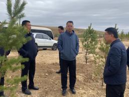 【要闻】王会雨深入乡镇调研督导防返贫动态监测,户厕