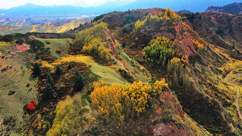 秋染祁连山,马蹄寺景区五彩斑斓美不胜收!