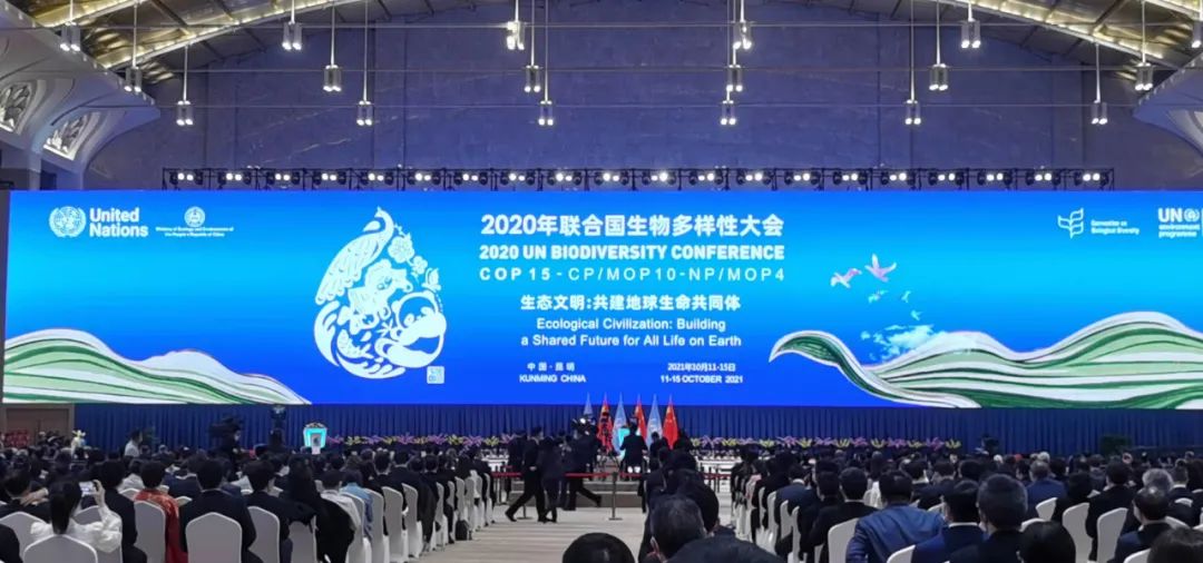 cop15开幕秀山丽水走向世界