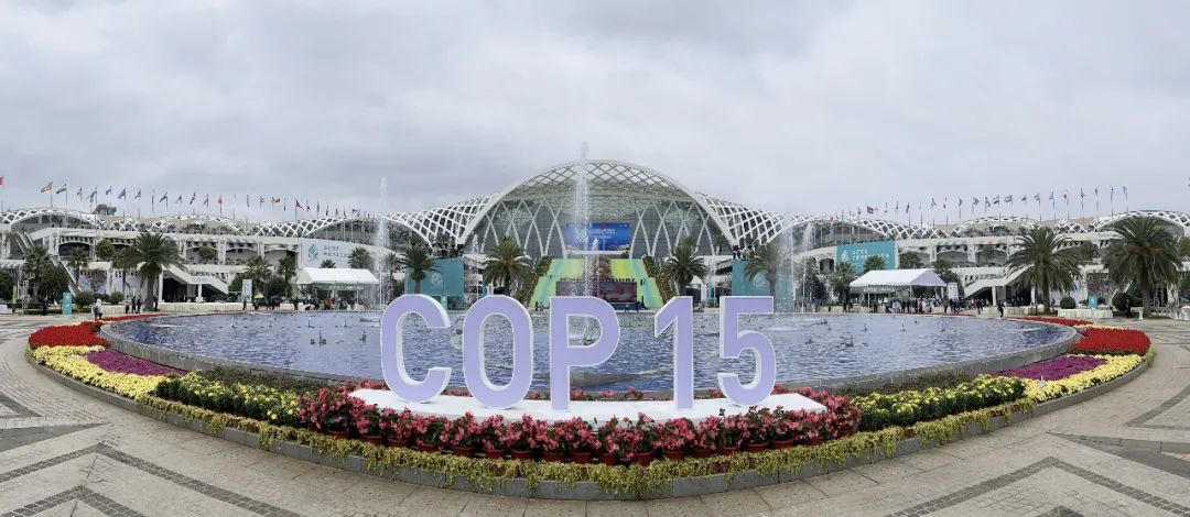cop15盛大开幕!《云南日报》推出5个整版特刊聚焦"昆明时刻"
