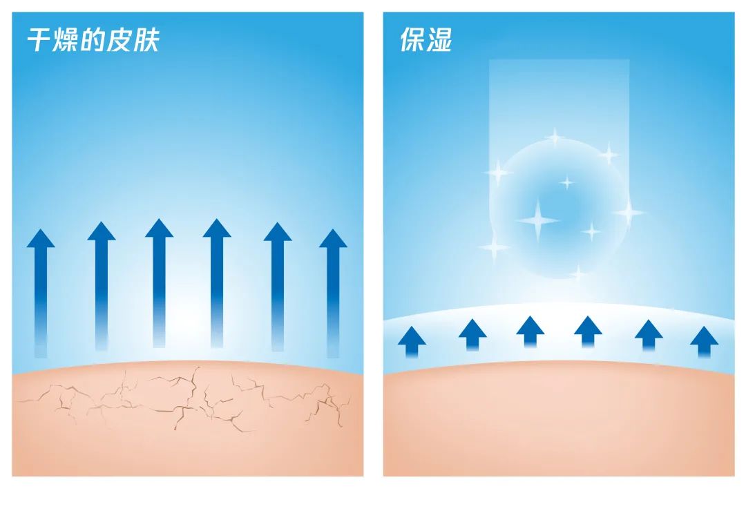 秋季护肤注意_秋季护肤保养_秋季 护肤