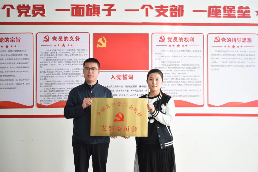 有限公司党支部是经市互联网行业党委批复成立的非公互联网企业党支部