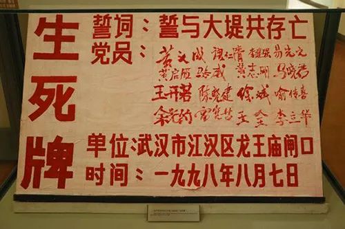 回首百年话峥嵘改革开放史78九八抗洪挺起中华民族不屈的脊梁