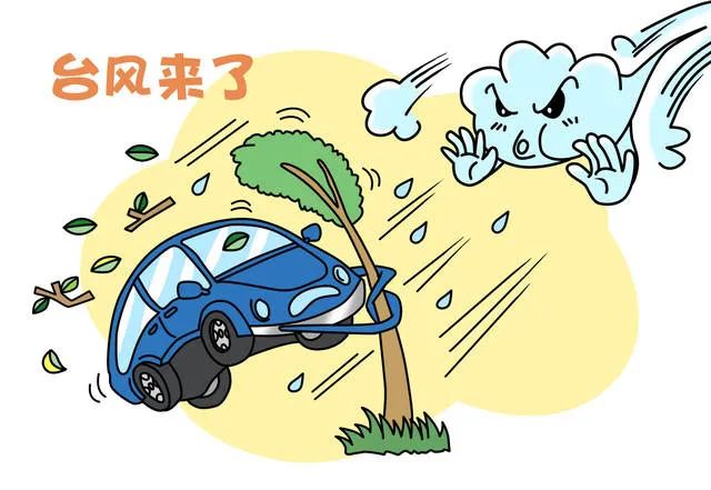 重要提醒台风圆规来袭这份法律提醒请收好