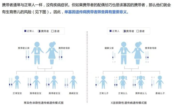 青春检验站单基因遗传病系列一苯丙酮尿症