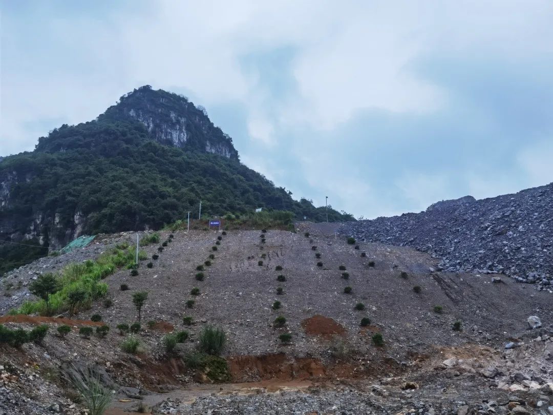 杨世爵:全力以赴,扎实整改,将矿山整治修复工作抓到位,抓彻底