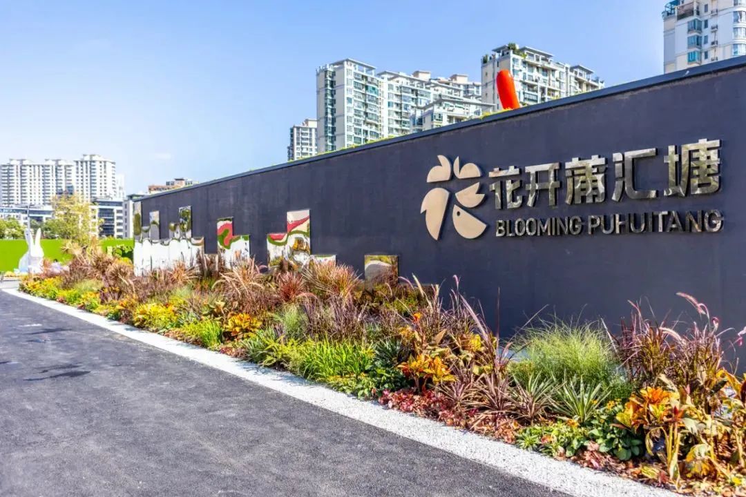 花开蒲汇塘这个周末又要霸占朋友圈了