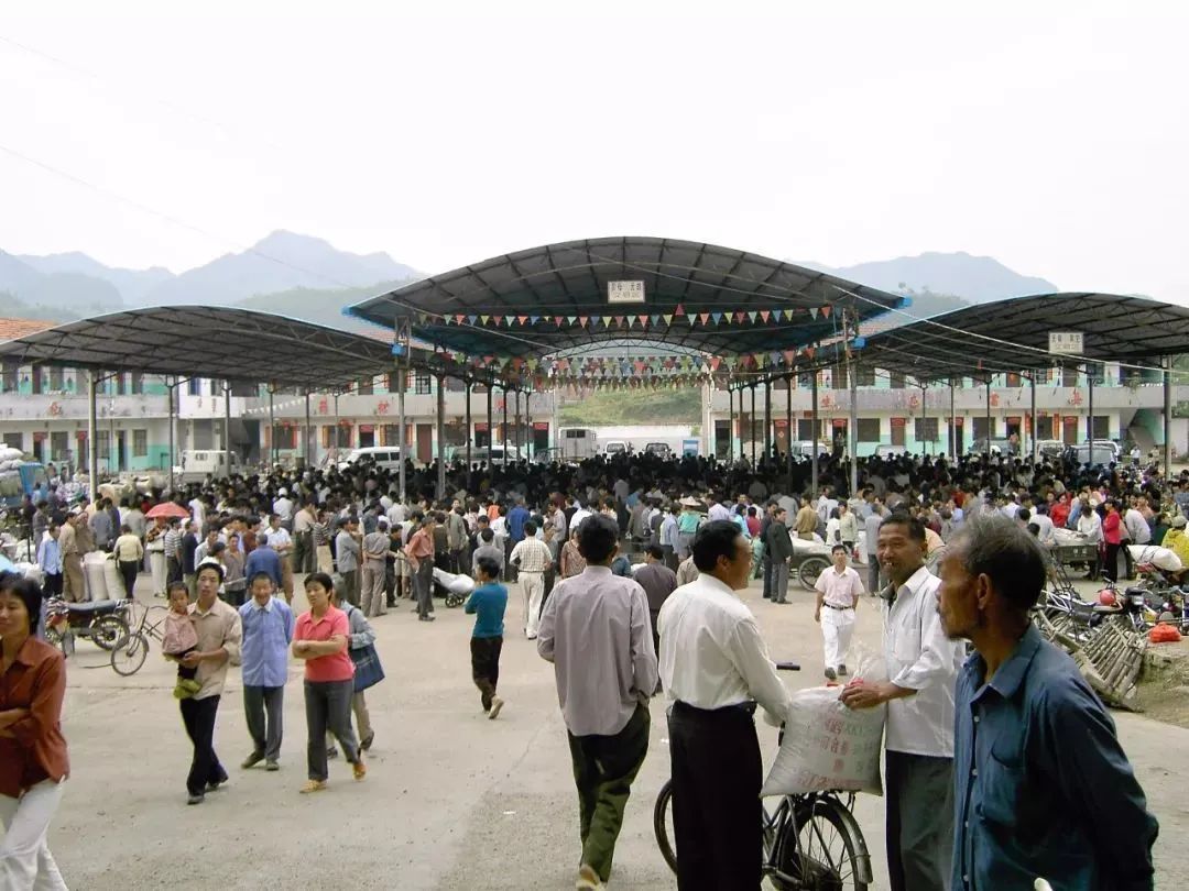 党史天天学磐安药材市场踏准时代节奏升级迭代