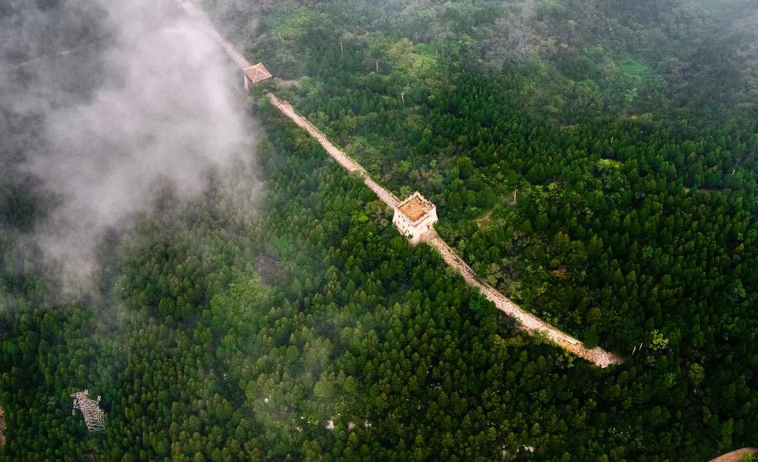 落实突破年奋进在博山原山林场争做高质量发展排头兵