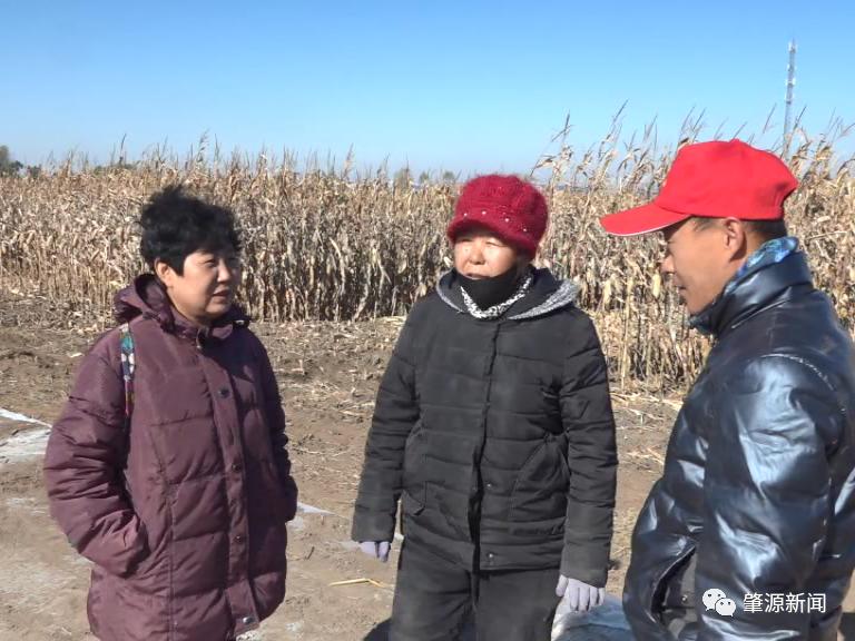 肇源县和平乡华原村土地托管服务农民轻松秋收