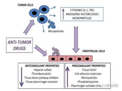 抗凝药物在肿瘤患者中的应用