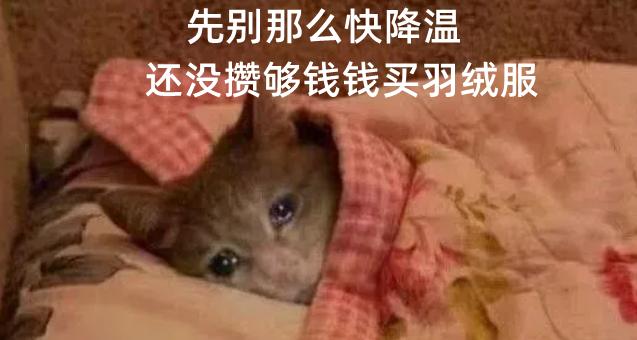 小布说天气冻死在秋天我心有不甘哼谁让你有秋裤不穿