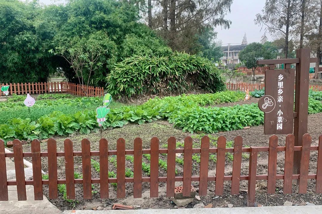 太平村:为美丽乡村涂抹"青春"底色