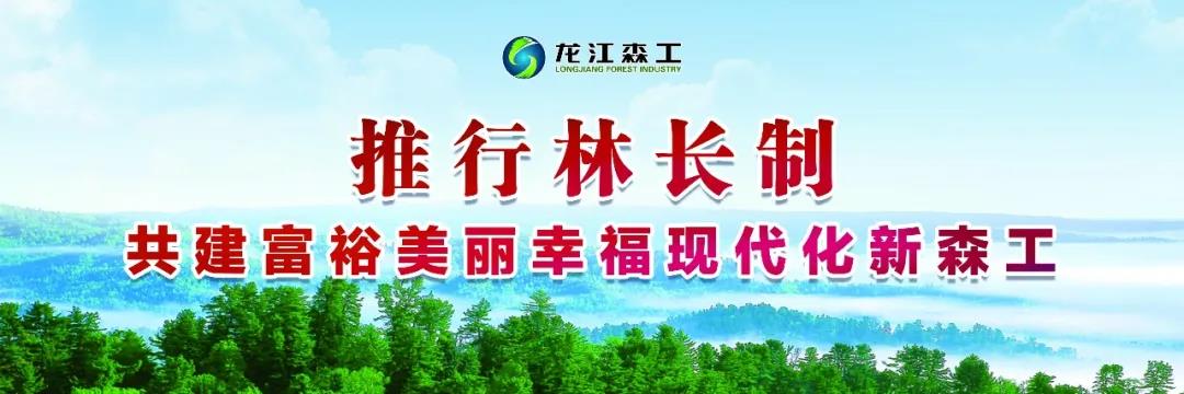 八面通推行林长制织牢责任网