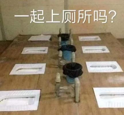 公厕马桶vs蹲坑哪个更脏答案出乎意料