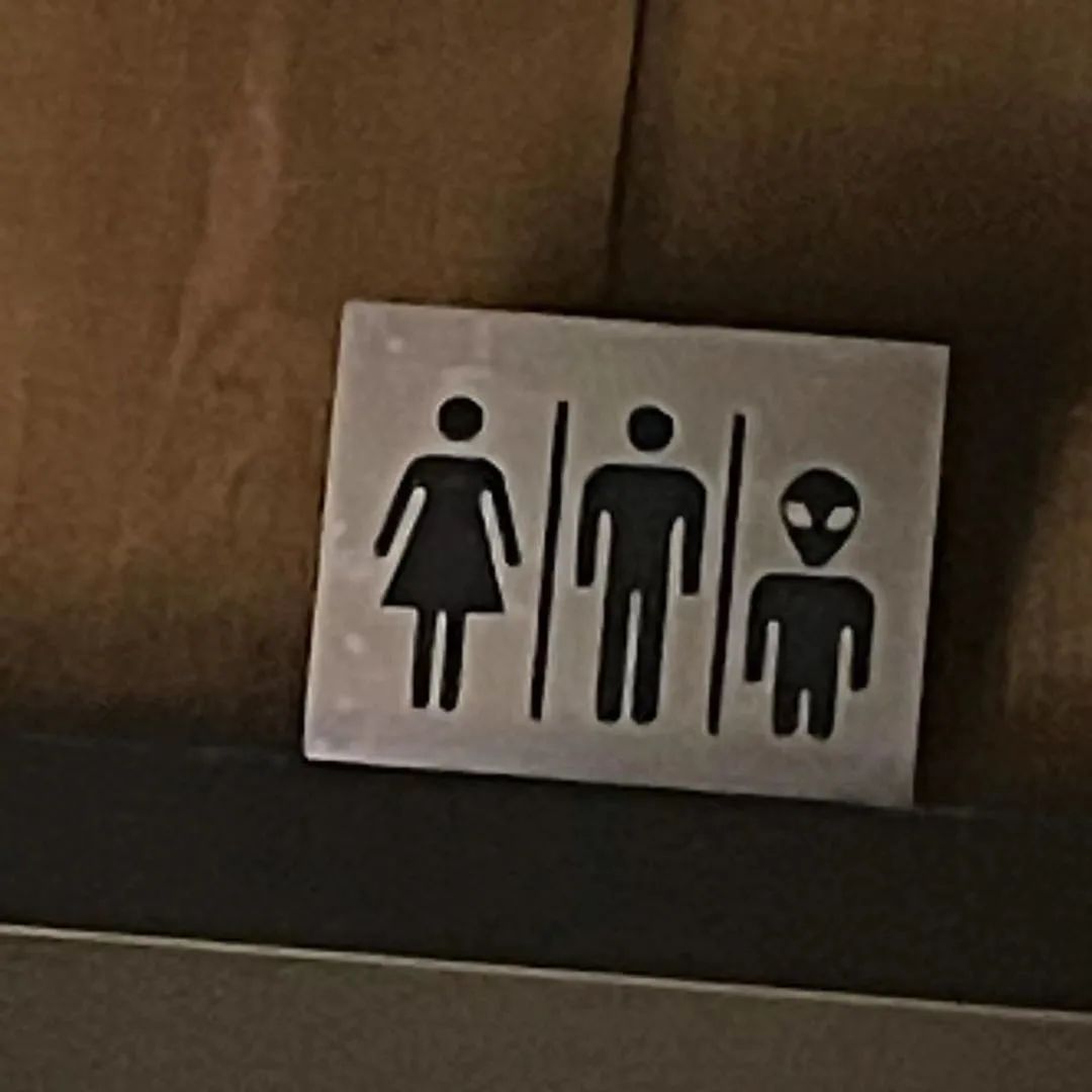 这些公共厕所的男女标识都是看不懂的象形文字