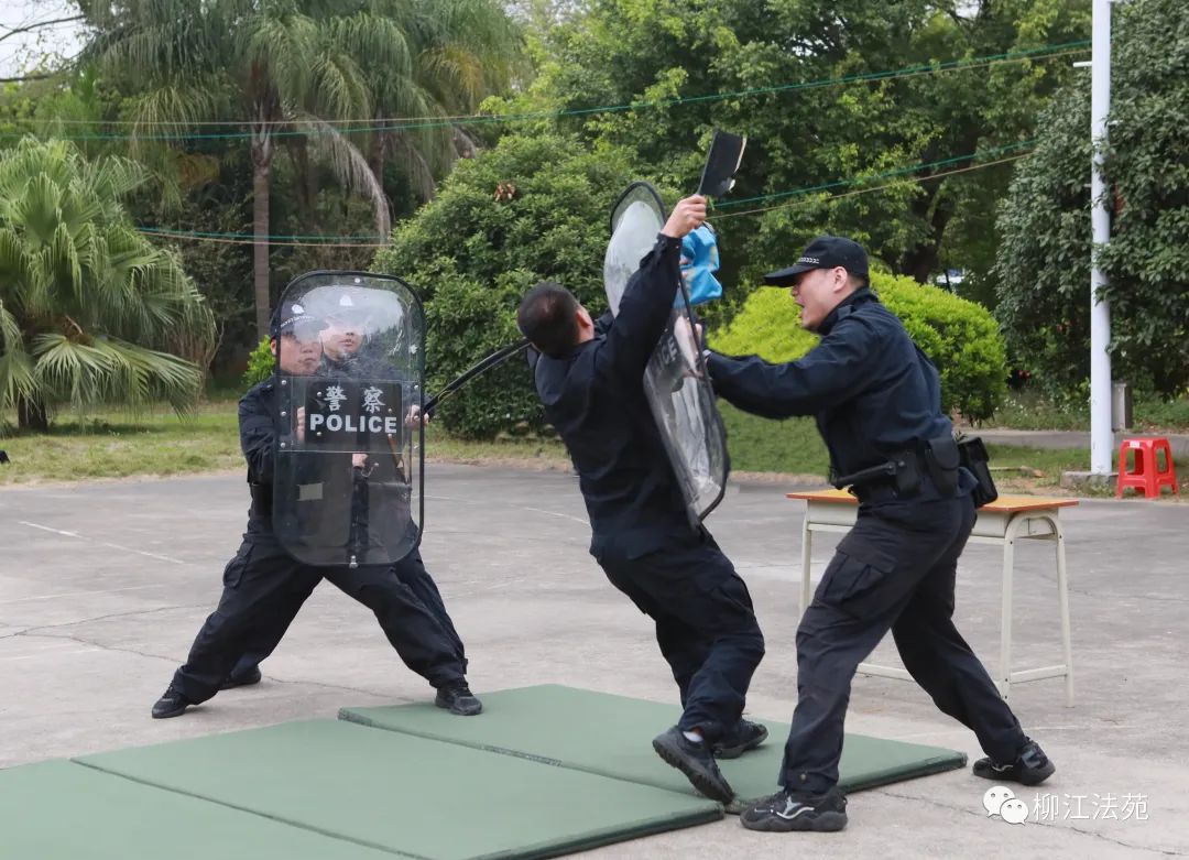 擒敌拳,警棍盾牌术……法警小哥哥实战化训练太飒了!