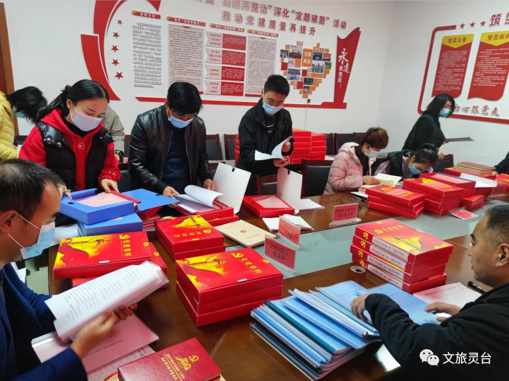 党员干部谈心谈话,专题组织生活会,党史学习教育,"为民办实事"台账