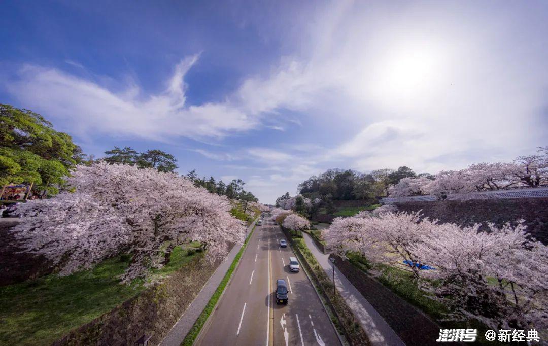 春天的日本就更有的可拍了,毕竟是樱花季.夏天有"风物诗",那春天呢?