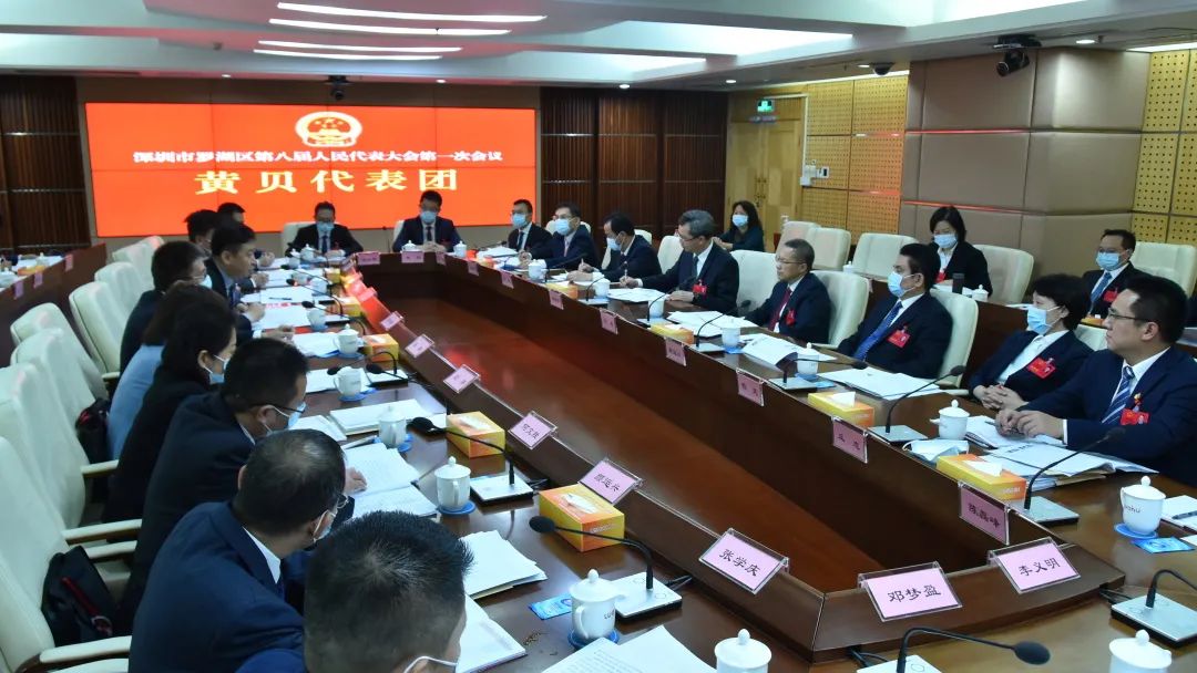 刘胜范德繁参加罗湖区八届人大一次会议代表团分组讨论