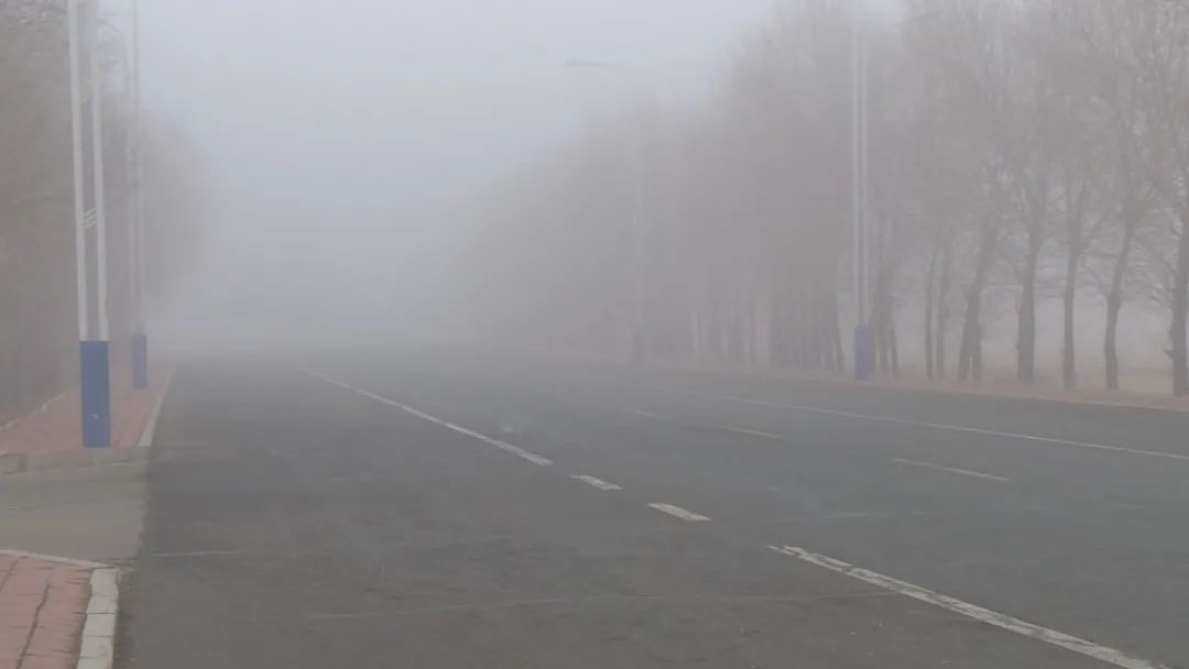 今晨我市出现大雾天气