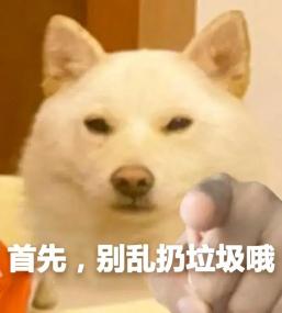 转发表情包对说的就是你
