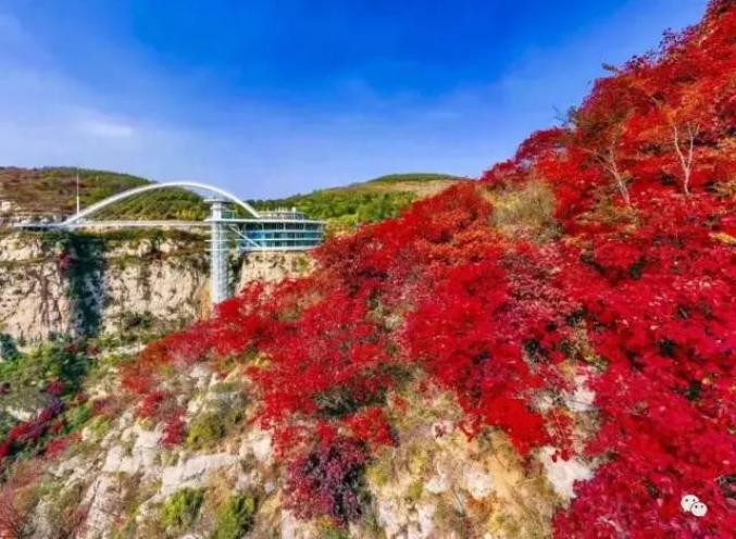 淄川发布  太河镇地处淄川东南部山区,位于淄水两畔,与青州,沂源,博山