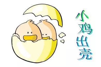 居家健身共享健康亲子韵律操小鸡出壳