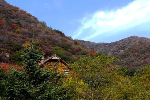今起翠枫山景区闭园