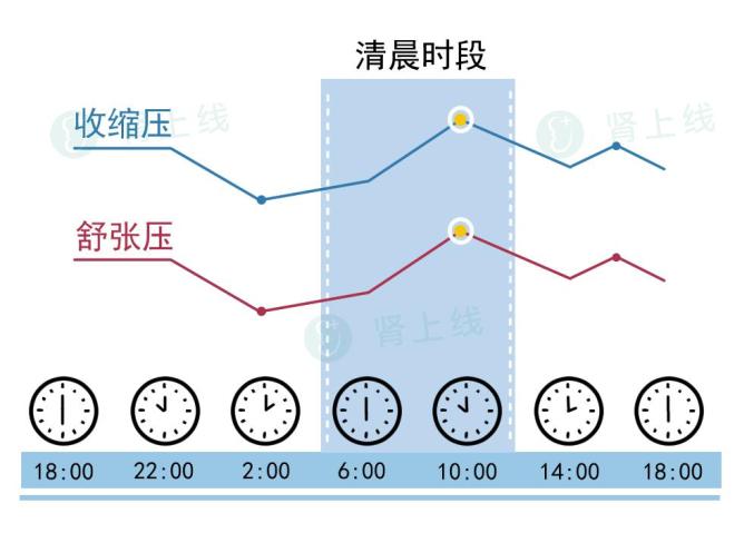 白天血压升高而晚上血压降低(降低约15,称为杓型血压(也叫勺型血压)