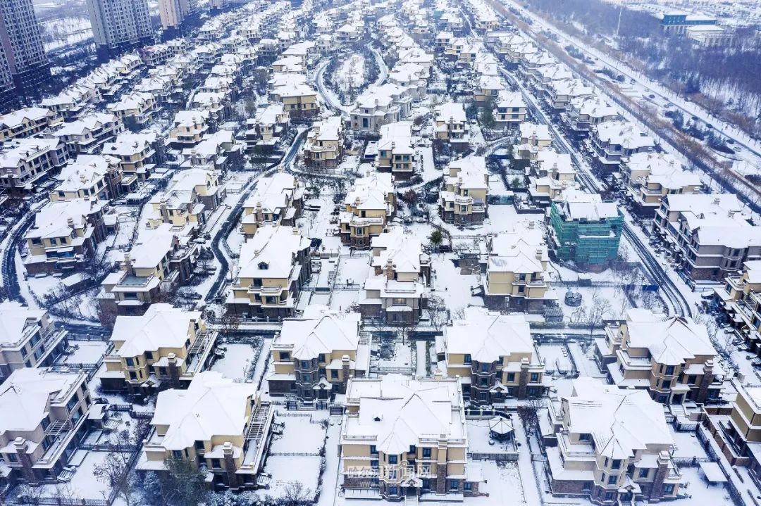 迎战风雪雪景图鉴堆雪人打雪仗哈尔滨人的冬天就是这么欢乐共赏一城雪