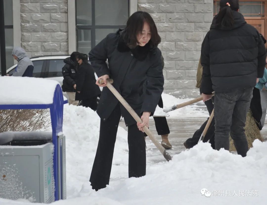 肇州县法院组织干警集中清雪