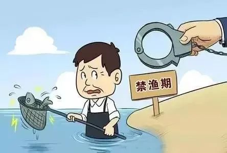 读案明法捕鱼14条罚款5000元作案工具都被没收了
