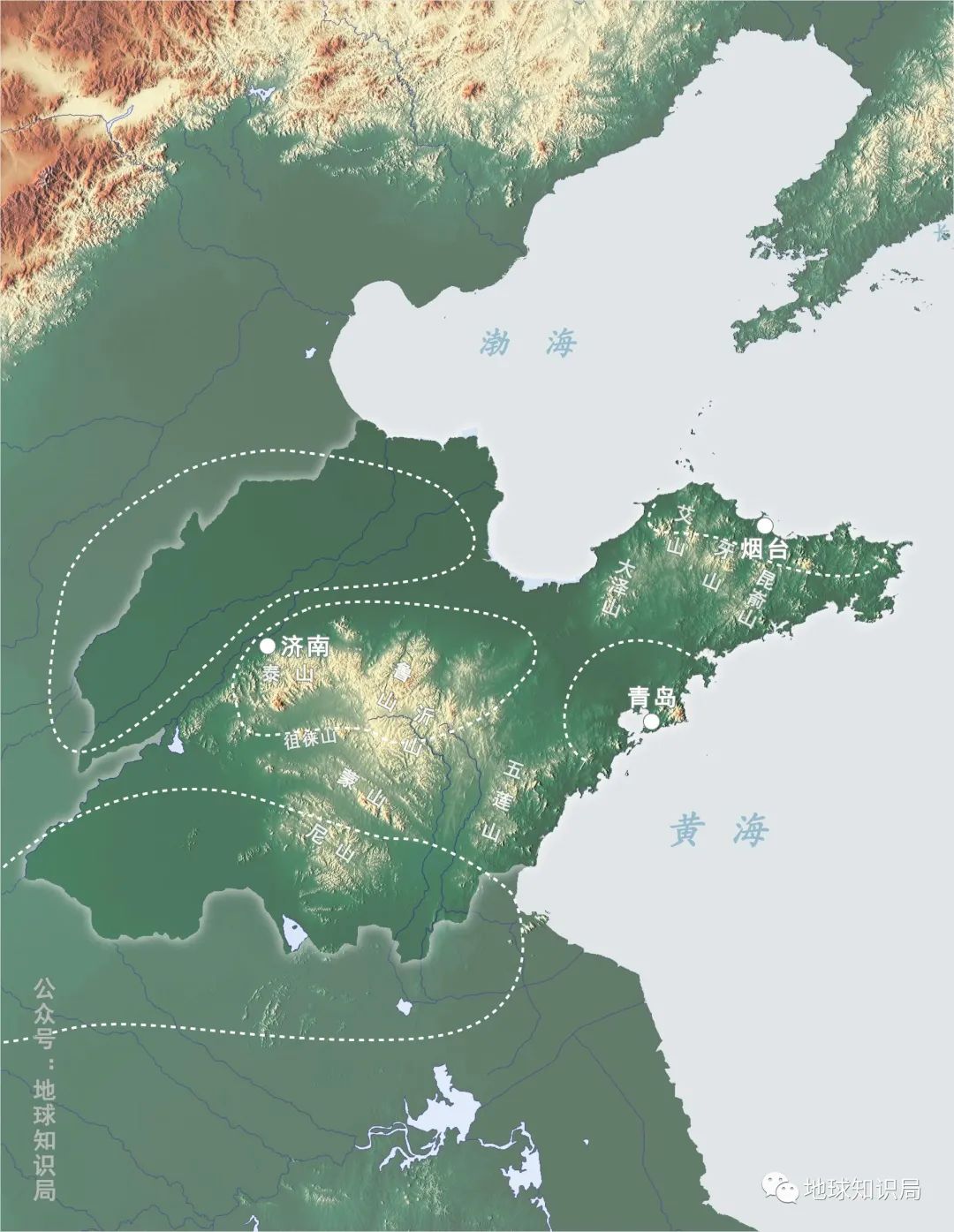 山东疯狂的蔬菜