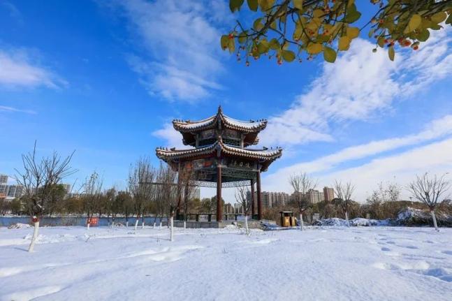 网络文明唐山滦南县北河公园雪景美如画