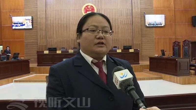 砚山县人民法院首次采用七人合议庭审理公益诉讼案件