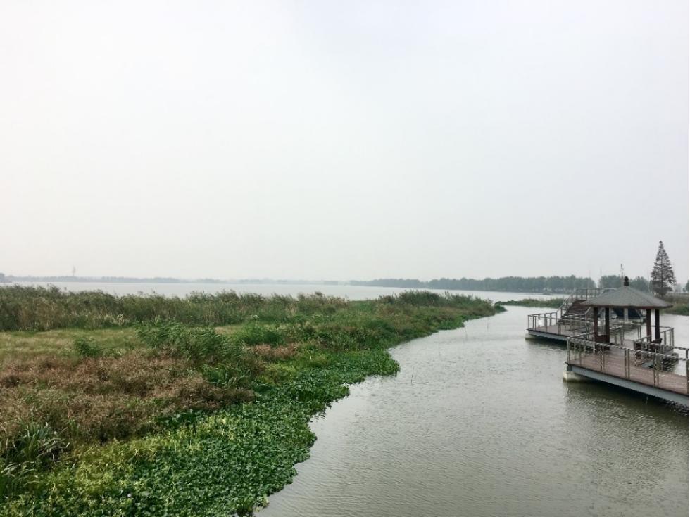 35平方公里,是以湿地为特色的郊野公园.