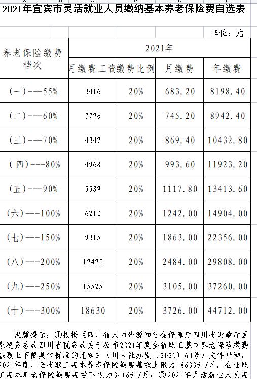 速转宜宾市灵活就业人员缴纳基本养老保险和医疗保险费标准来了