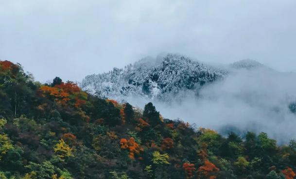 西岭雪山