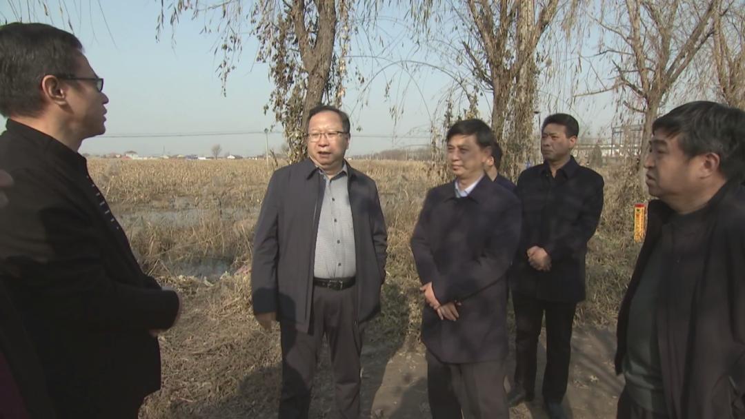 副市长薛青松到孟村调研冬小麦种植工作