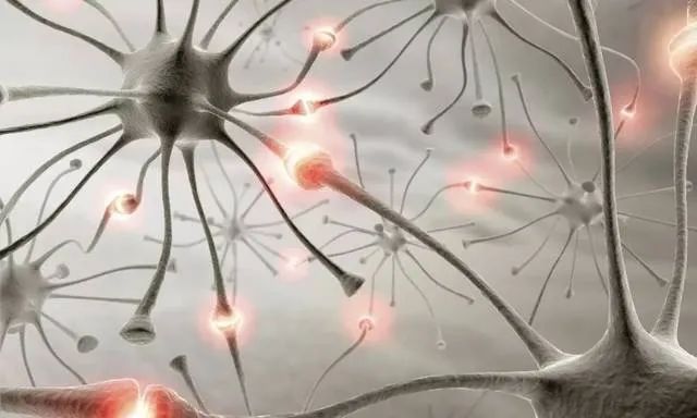 gaba attenuates amyloid toxicity by downregulating its