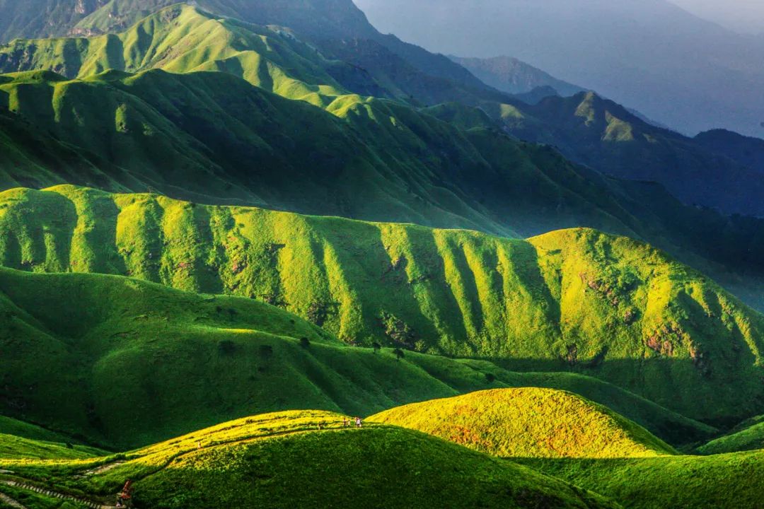 武功一景高山草甸