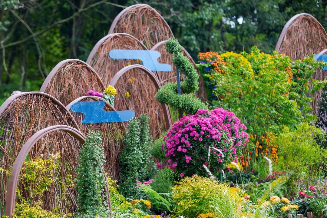 上海植物园景点获2021上海菊花展铂金奖