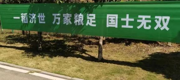 奉献祖国和人民"等一条条绿底白字的横幅,在阳光下随着微风飘展