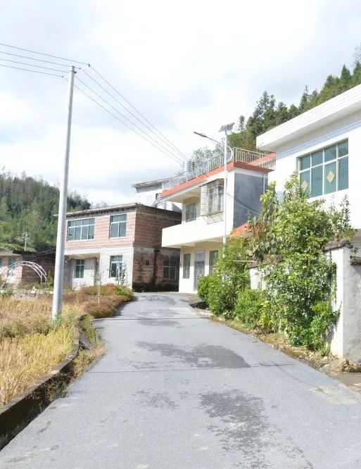 王雨田赴汝城县濠头乡调研乡村振兴工作