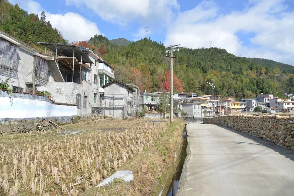 王雨田赴汝城县濠头乡调研乡村振兴工作