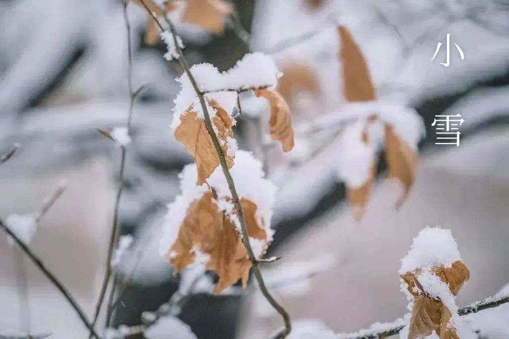 都说让我们一起迎接小雪节气吧~2021年11月22日10时34分千万留神,别