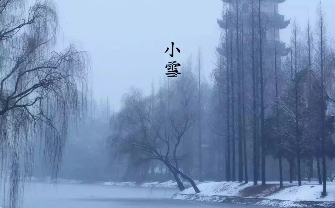 澎湃号>澎湃江苏>甲子徒推小雪天,刺梧犹绿槿花然.